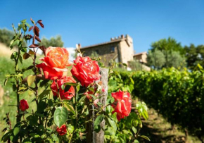 Villa Montemaggio by MC Luxury Rentals, Castello Di Volpaia